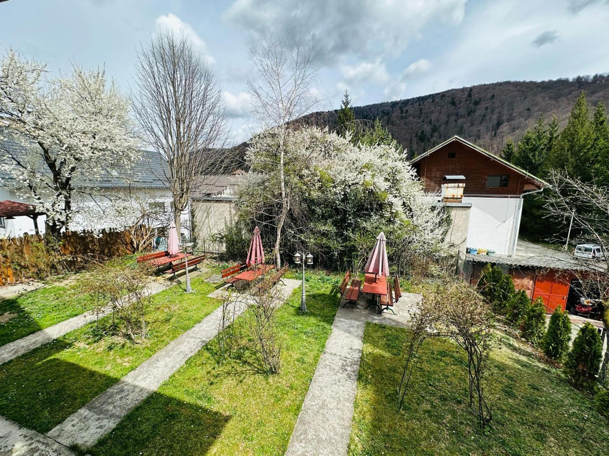 Rapsodia Sinaia Bed & Breakfast Ngoại thất bức ảnh